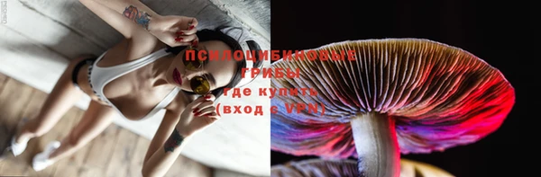 индика Россошь