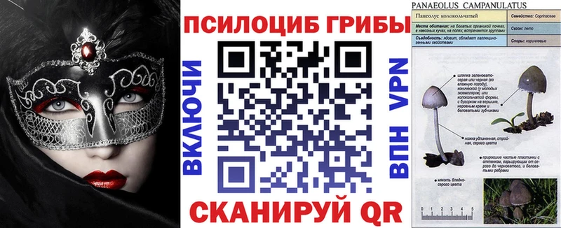 Псилоцибиновые грибы ЛСД  купить закладку  Чухлома 